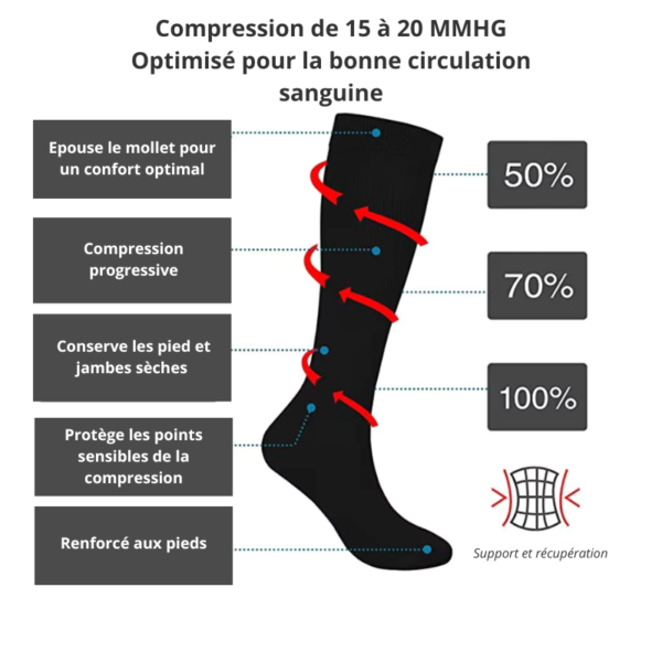 Fiche technique